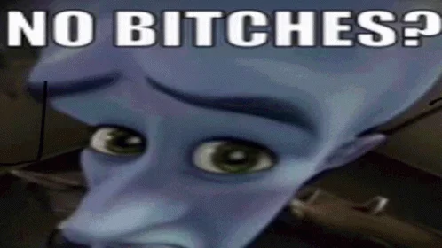 Animated 'No Bitches?' Metroman meme.