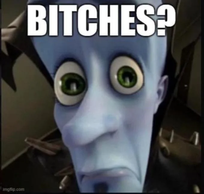 Textual variation of 'No Bitches?' meme.