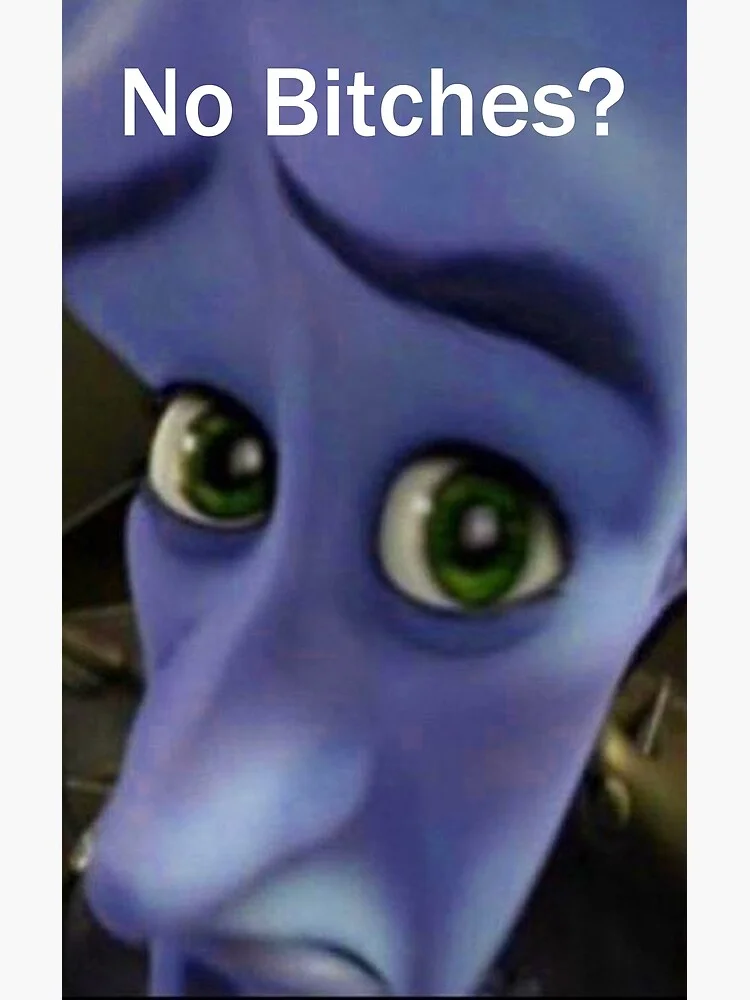 Mobile-optimized 'No Bitches?' meme format.