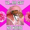 Two men in bromantic pose with 'No Homo' disclaimer.