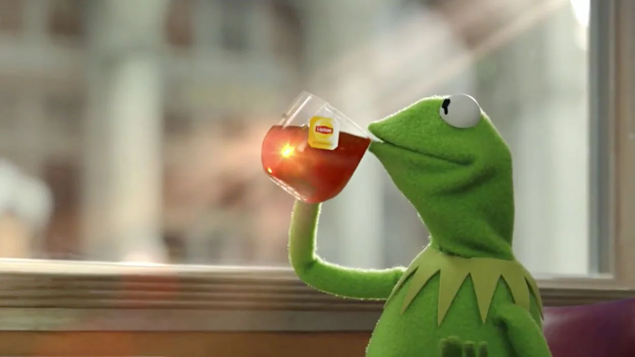 Source image of iconic Kermit meme template.