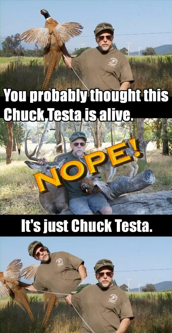 Nope Chuck Testa