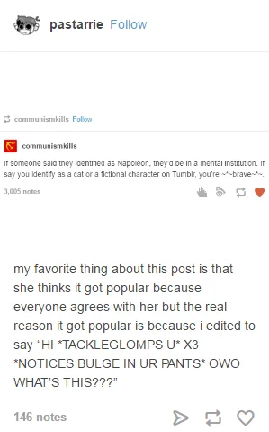 Copypasta injection example on Tumblr.