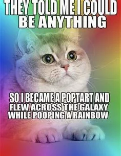 Nyan Cat