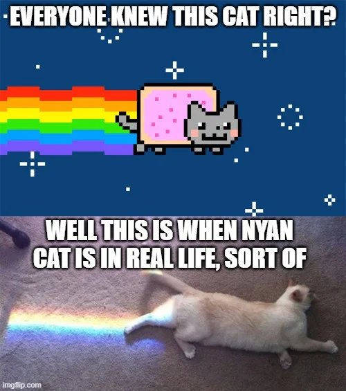 Nyan Cat 'real life' version comparison meme.
