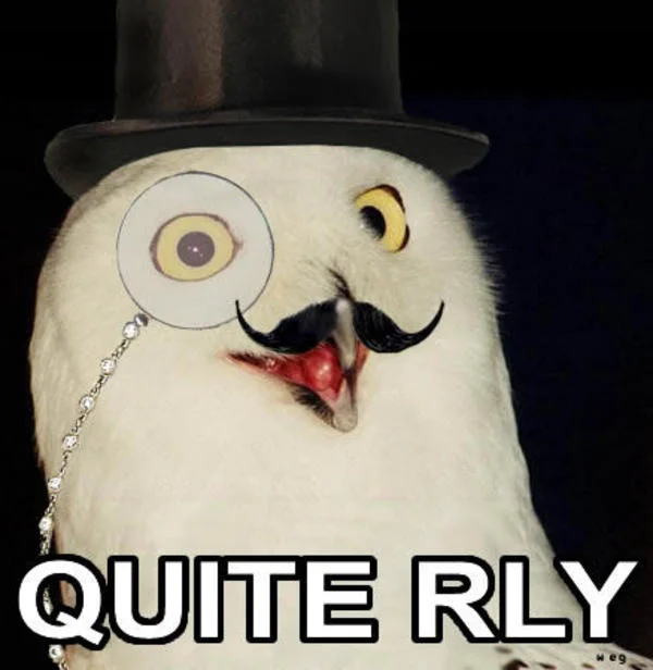 Formal owl variant with top hat and monocle.