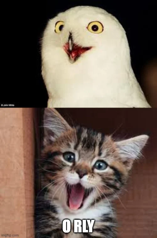 O RLY owl contrasted with shocked kitten.