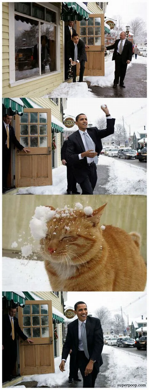 The classic four-panel comic depicting Barack Obama throwing a snowball at an unsuspecting orange cat, the image that launched the 'Obama Snowball' meme.