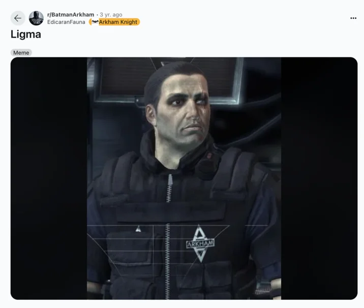 Officer Boles Ligma joke Reddit post.