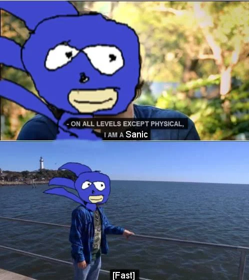 Sanic video game character variation.