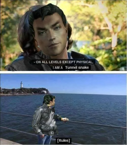 Tunnel Snake variation of meme template.