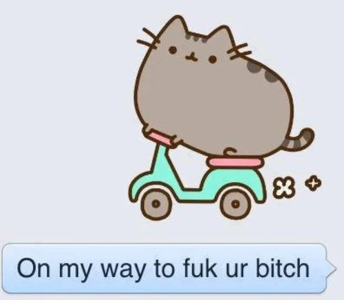 Pusheen cat scooter steal yo girl meme.