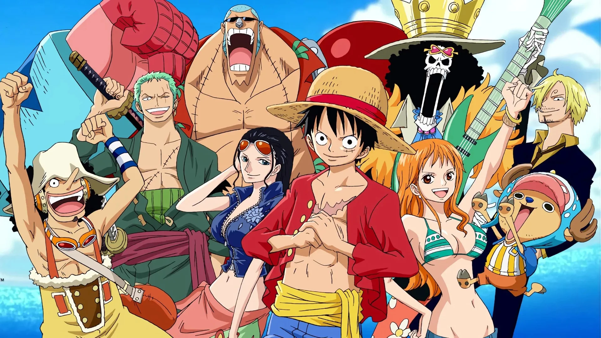The Straw Hat Pirates, the main crew of Eiichiro Oda's One Piece, in an official anime promotional illustration.