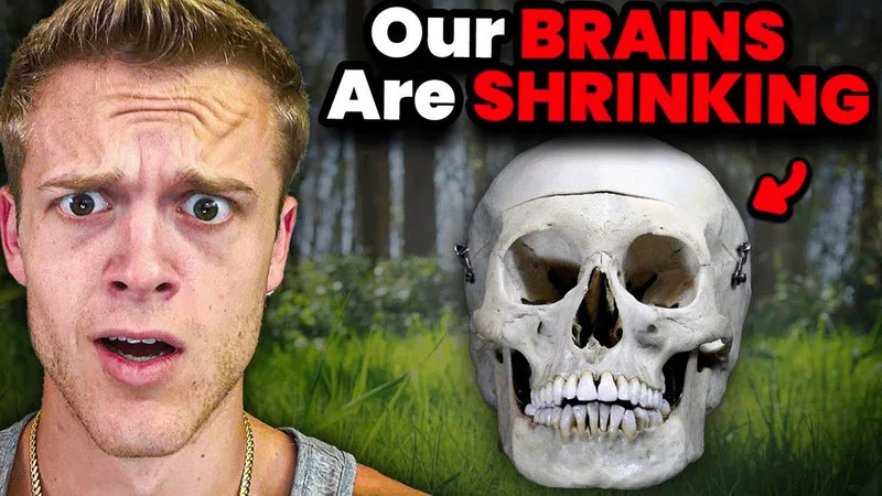 Primary Our Brains Are Shrinking meme.