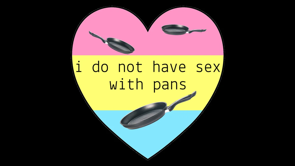 The 'i do not have sex with pans' banner image combines the pansexual pride flag colors with frying pans as a humorous rebuttal to the common pun about pansexuality.