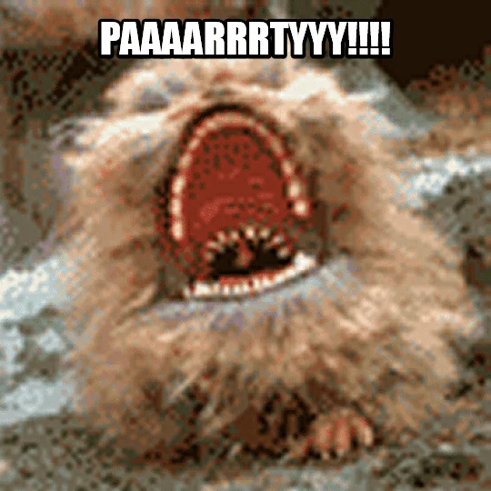 A screaming cat GIF captioned 'PAAAARRRTYYY!!!' in the Party Hard spirit.