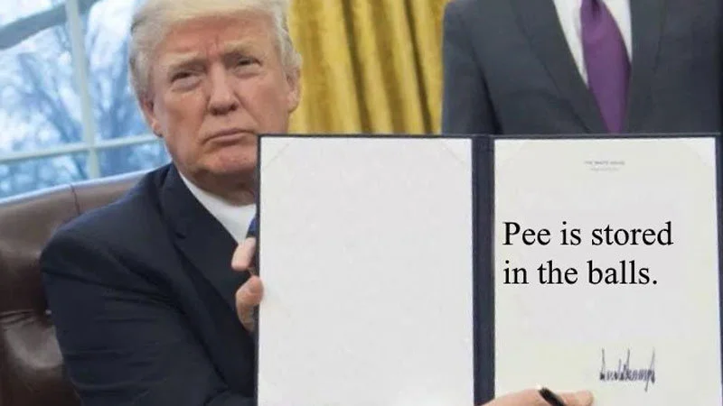 The signature image of the meme: a photoshopped executive order held by Donald Trump declaring 'Pee is stored in the balls.'