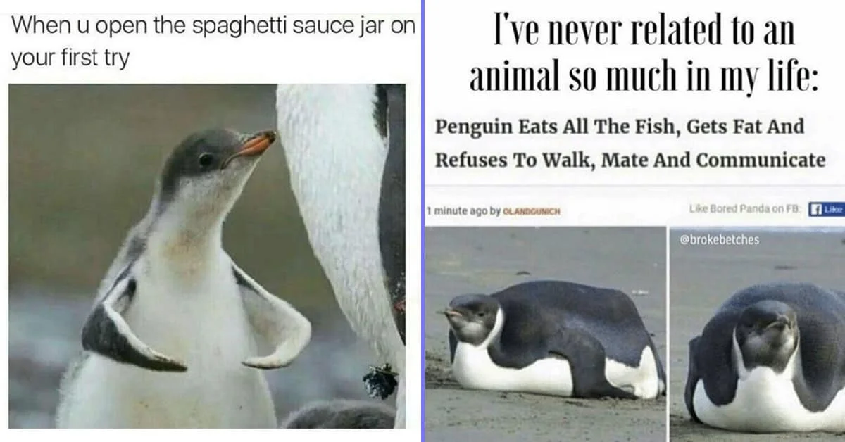 A penguin meme collage about penguin facts.