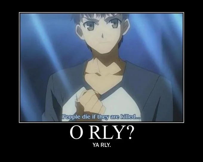 An early demotivator remix pairing the Fate/stay night line with the classic 'O RLY?' internet joke to highlight its absurdity.