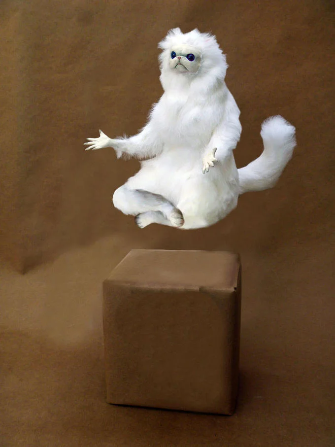 A photograph of the Persian cat sculpture shown levitating above its trademark cardboard box.