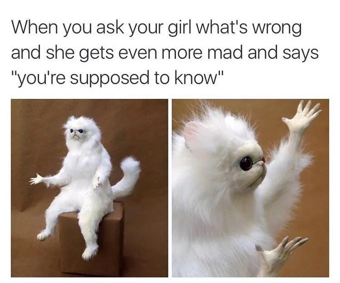 A popular Persian Cat Room Guardian meme depicting the confusion of not knowing why a partner is upset.