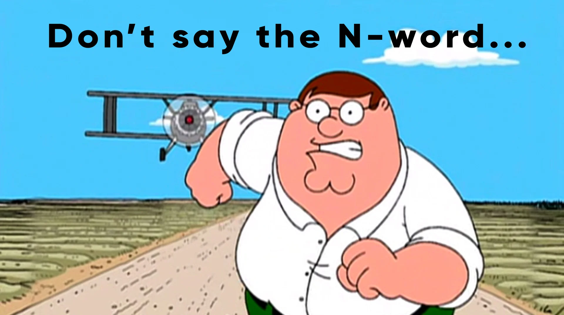 The iconic 'Don't say the N-word' Peter Griffin meme, featuring a parody of the North by Northwest crop-duster chase scene from Family Guy.