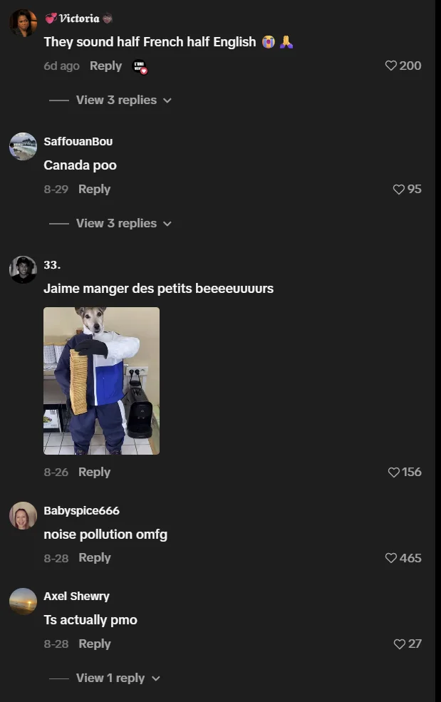 More TikTok comments on the Petit Beurre by luniveuw video, including a reply featuring the now-iconic dog-in-tracksuit image.
