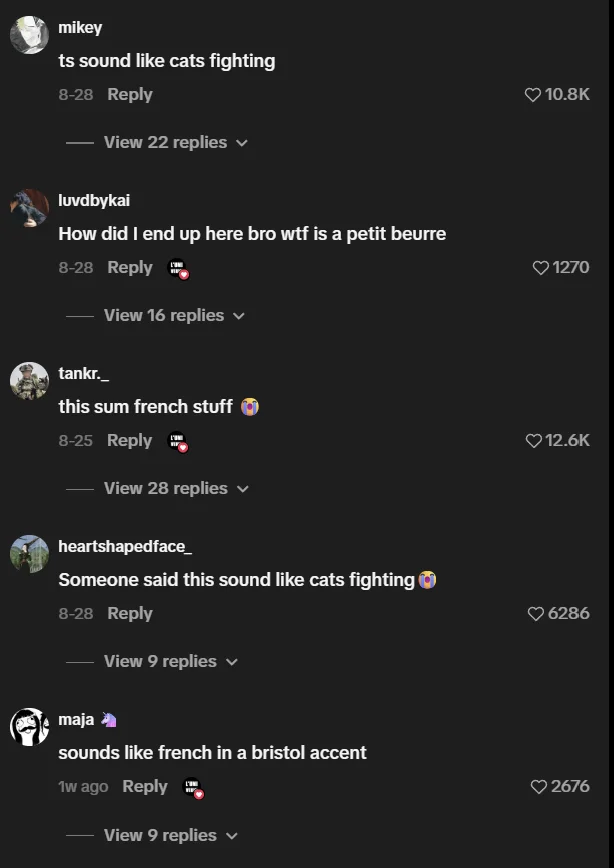 TikTok user comments react to the sound and language of the viral Petit Beurre video by luniveuw.