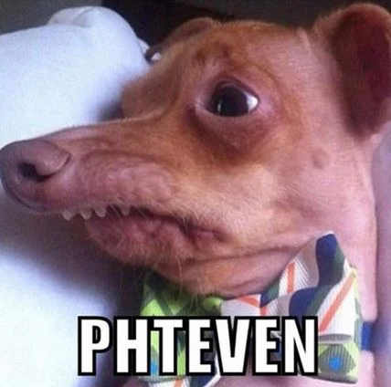 The iconic Phteven meme image featuring Tuna the dog, whose distinctive overbite and jawline dysfunction made him an internet sensation.