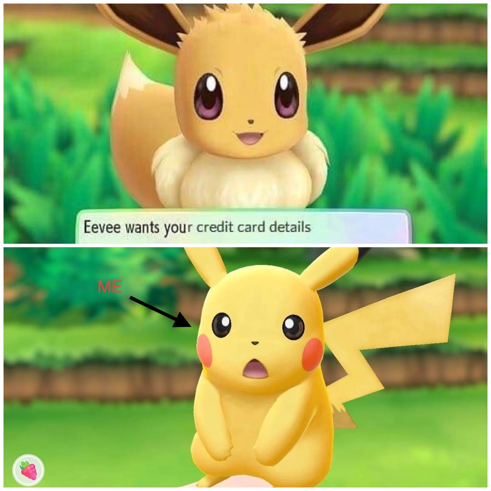 Fan-related content associated with the Pokémon Let's Go series.