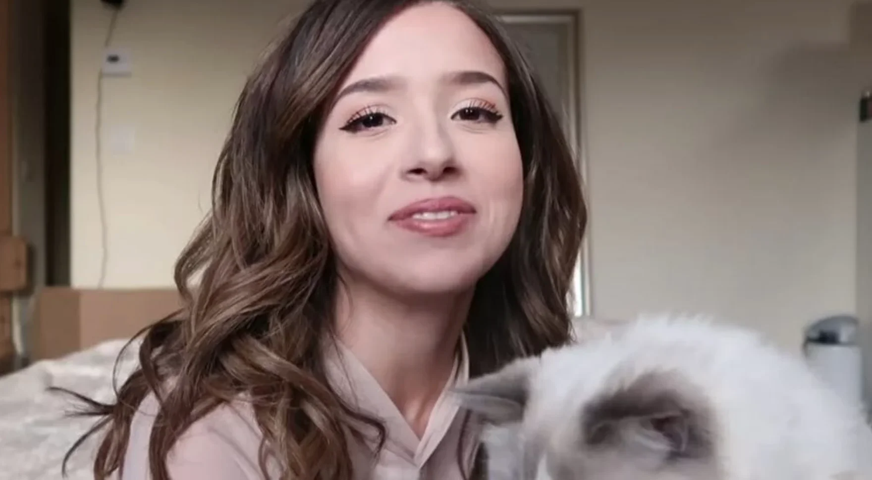Pokimane on camera during a stream, joined by her ragdoll cat.