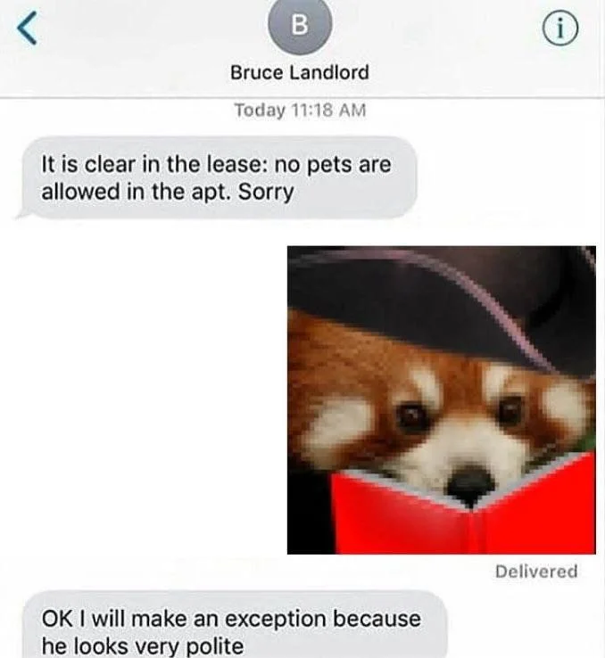 Polite Cat