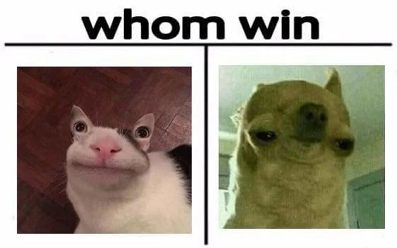 The car salesman meme meets polite cat.