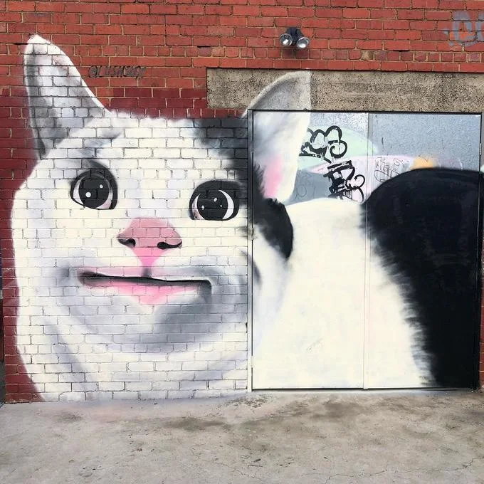 Polite Cat