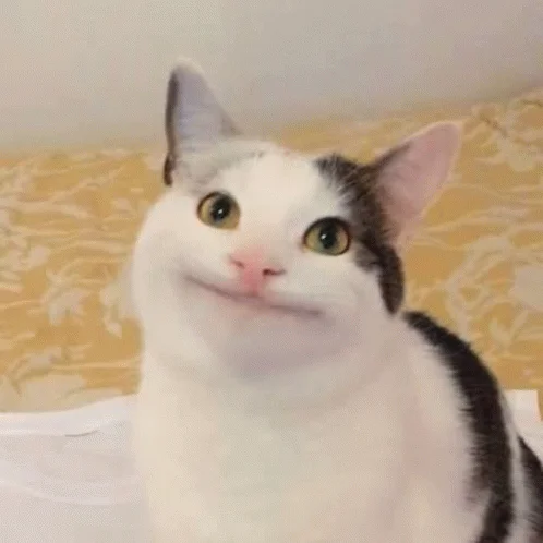 The cat's characteristic polite expression.