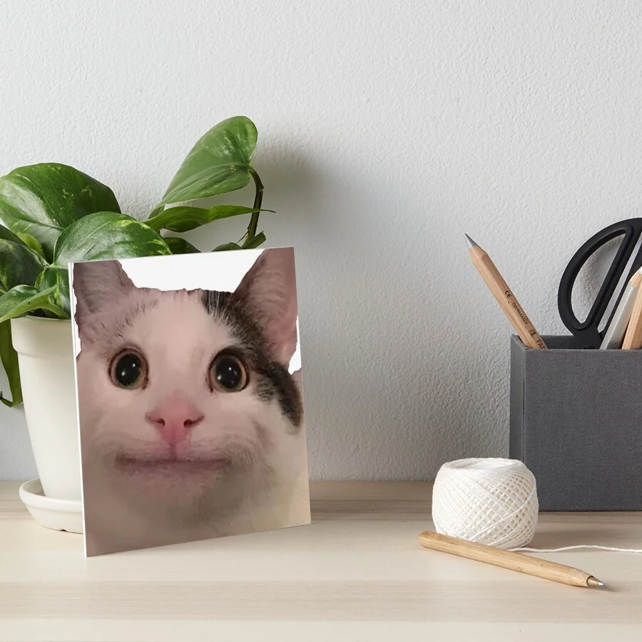 The meme as consumer craft merchandise.