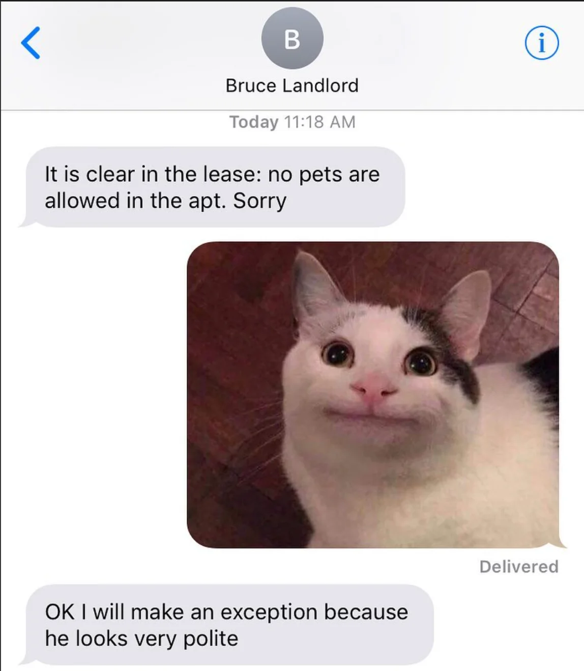 How the polite cat convinced the landlord.