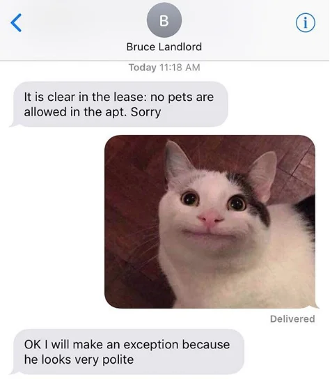 Polite Cat