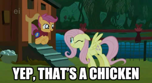 The classic Scootaloo chicken meme.