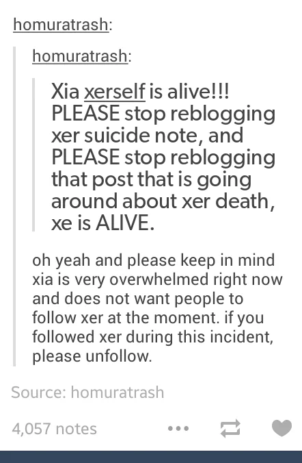 A viral Tumblr post using xe/xer/xerself neopronouns, often cited in online discussions about preferred pronoun usage.