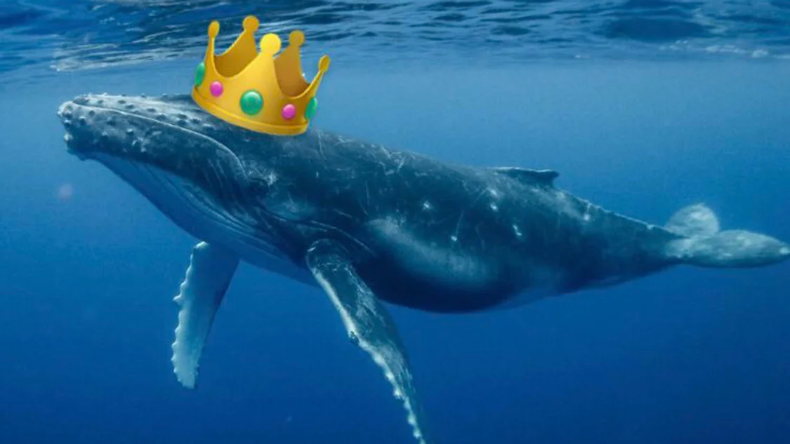 The definitive 'Prince of Whales' image: a majestic humpback whale crowned as royalty, born from Donald Trump's viral typo.