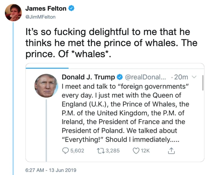Journalist Hannah Al-Othman broke the 'exclusive first picture' of the Prince of Whales — a crowned humpback whale.