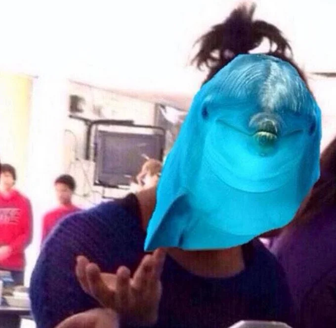 The 'dolphin face' image widely circulated with #PSAT jokes referencing dolphin-related reading passages from the 2015 exam.