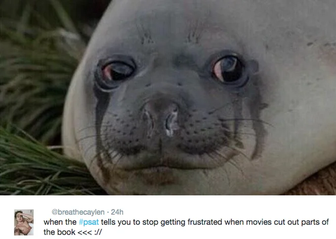 A #PSAT tweet using a melancholy elephant seal to joke about the exam's reading passage about book adaptations.