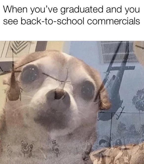 A PTSD Chihuahua variation about the lingering trauma of school triggered by back-to-school commercials.