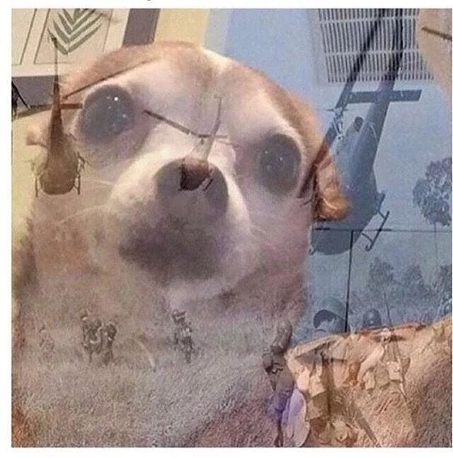 The blank, caption-free PTSD Chihuahua template used across the internet for creating variations of the meme.