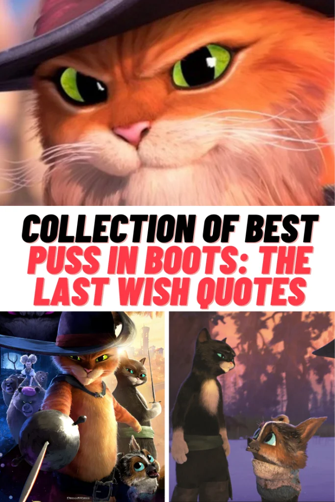 Collection of iconic Puss in Boots: The Last Wish moments and quotes.