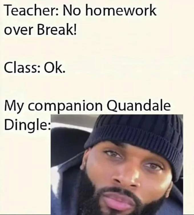 Homework joke meme using Quandale Dingle reference with different subject.