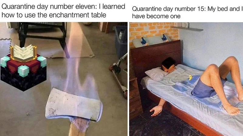Progression from learning useless skills to bed-human fusion by day 15.