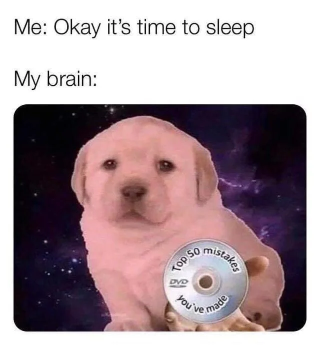 An edit of the Quieres puppy placed into a new visual scenario shared on social media.